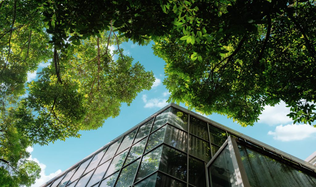 Question time: how do businesses make climate investments stack up financially