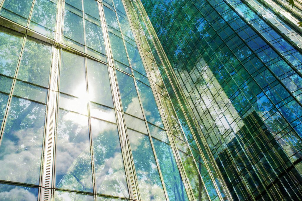 Risilience Summer 2025 Release