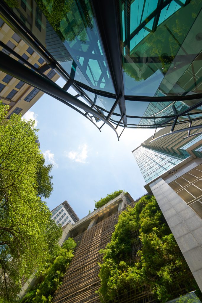 Quantifying your net-zero strategy: a balancing act between decarbonisation