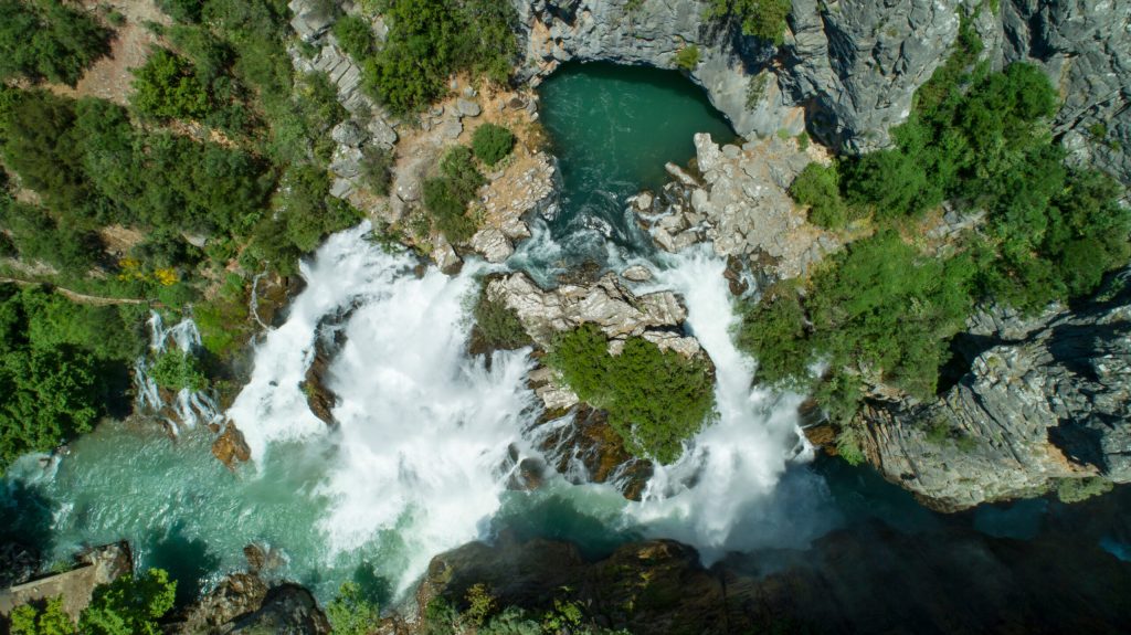 Nature positive: shaping a business model for profitable sustainability