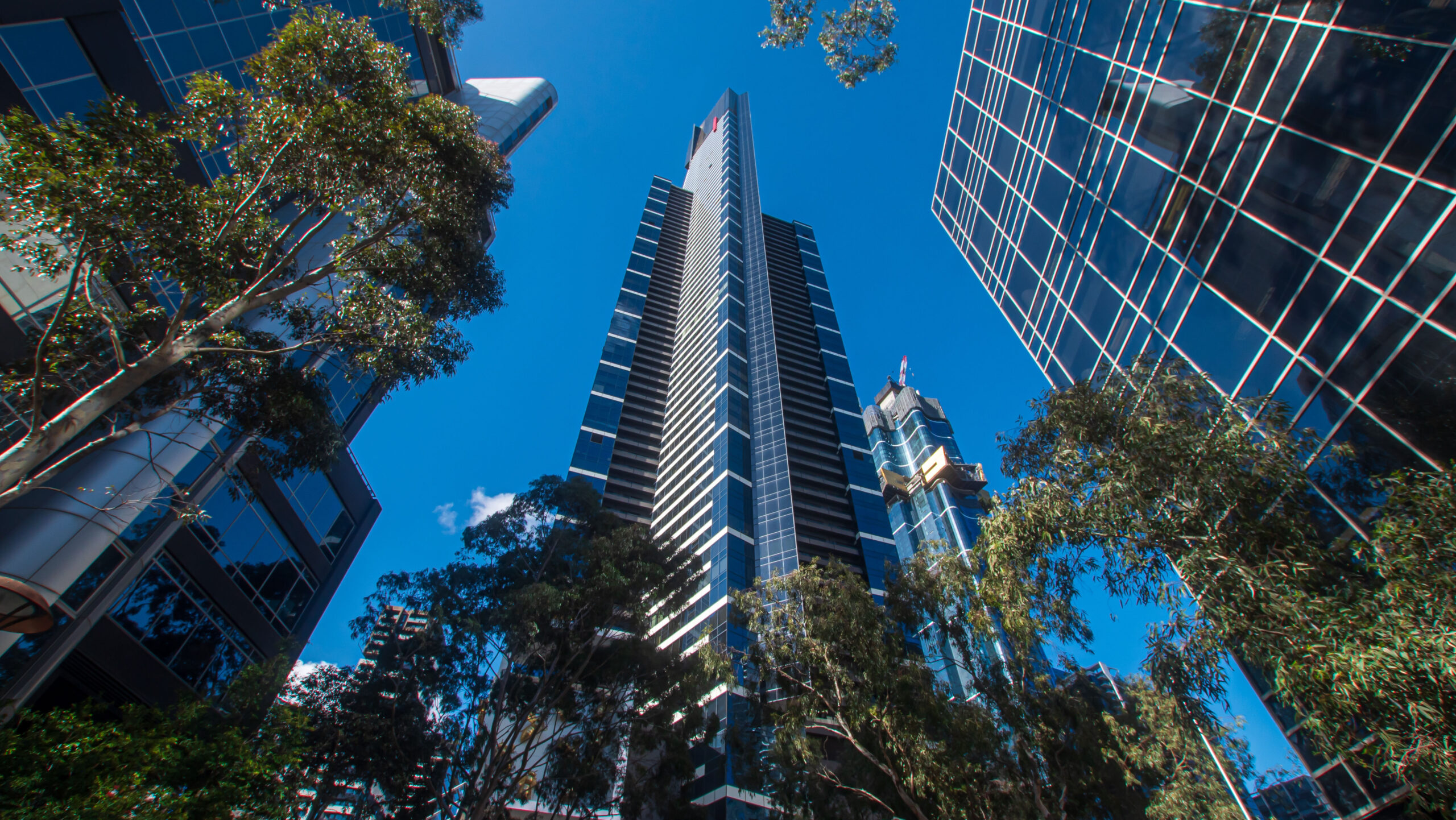 Forward-looking companies in Australia are setting the pace for ISSB-aligned reporting