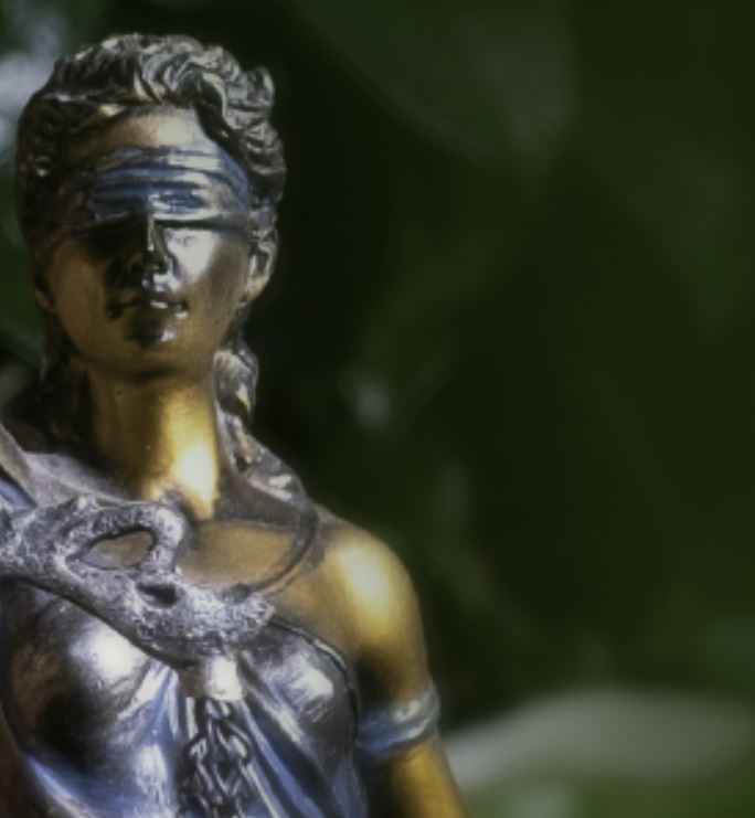 [INFOGRAPHIC] Climate litgation and business