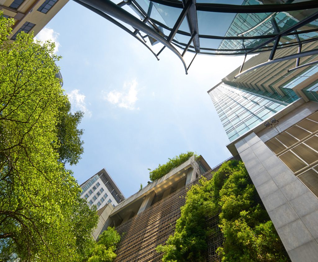 Balancing act: developing a credible transition plan for a net-zero future