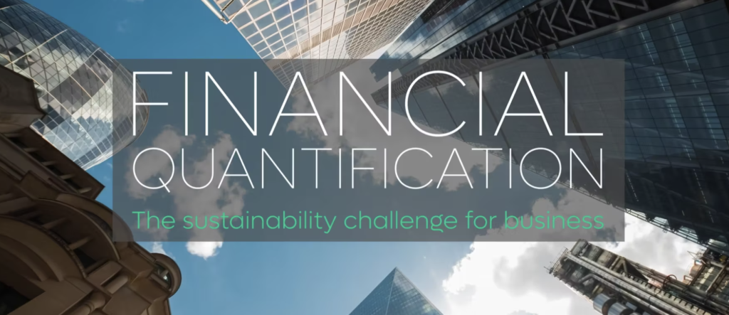 Financial quantification: the sustainability challenge for business