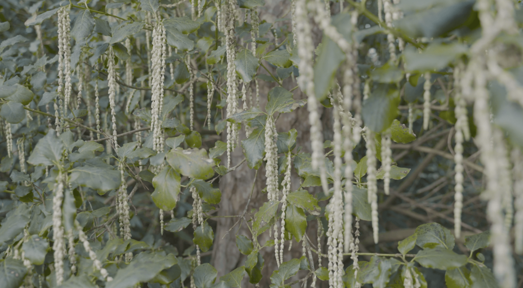 [WATCH] Top priority: how Sustainability Intelligence can help you build the business case for sustainability