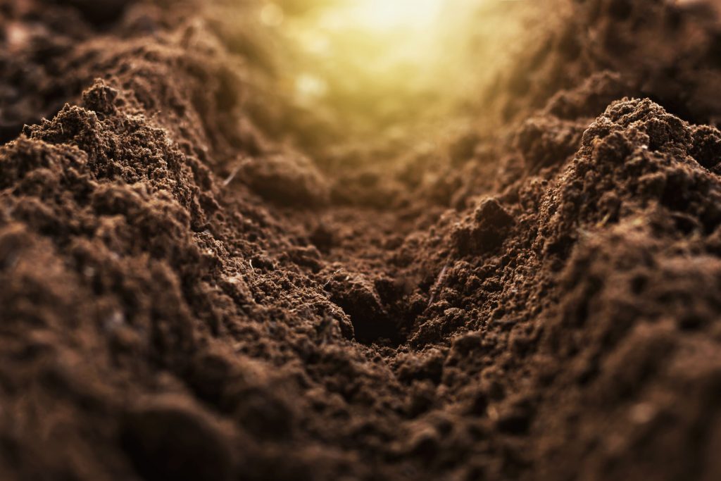 Nature calls – why healthy soil is good for business