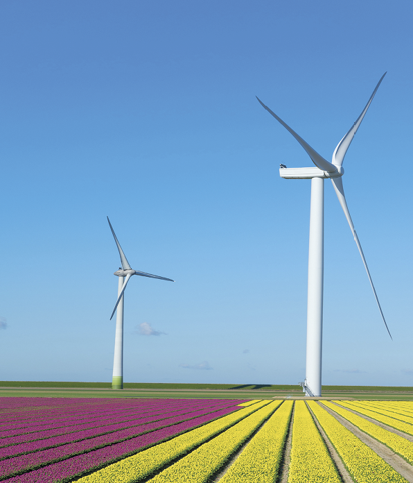 Developing a net-zero business strategy